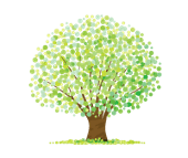 綾川樹木葬のお墓